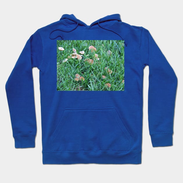 Path to a world of wonder Hoodie by FriendlyComputerHelp